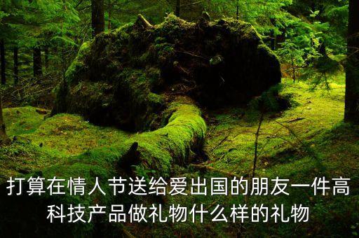 打算在情人節(jié)送給愛出國的朋友一件高科技產(chǎn)品做禮物什么樣的禮物