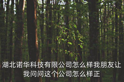 澤火時(shí)代科技，美羅國(guó)際生物科技股份有限公司產(chǎn)品怎么樣普通人能不能做