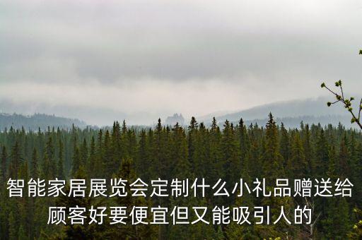 智能家居展覽會(huì)定制什么小禮品贈(zèng)送給顧客好要便宜但又能吸引人的