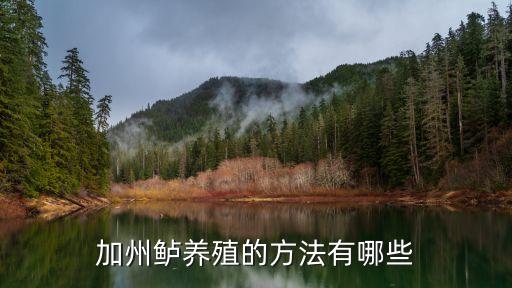 鱸魚養(yǎng)殖最新技術(shù)，鱸魚共分幾種 養(yǎng)殖方式是啥