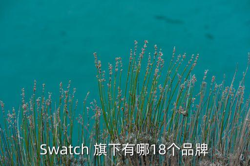 Swatch 旗下有哪18個品牌