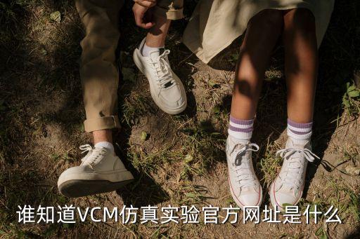 誰知道VCM仿真實(shí)驗(yàn)官方網(wǎng)址是什么