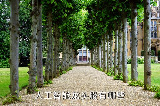 人工智能龍頭企業(yè)股票排名，人工智能龍頭股有哪些
