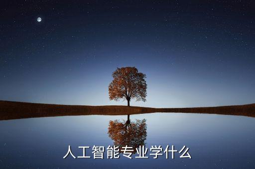 人工智能專業(yè)學(xué)什么