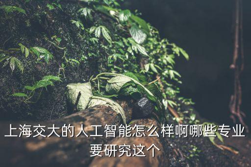 上海交大的人工智能怎么樣啊哪些專業(yè)要研究這個(gè)