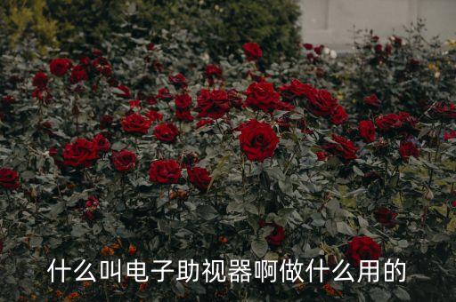 什么叫電子助視器啊做什么用的