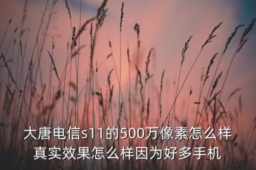 大唐電信s11的500萬(wàn)像素怎么樣真實(shí)效果怎么樣因?yàn)楹枚嗍謾C(jī)