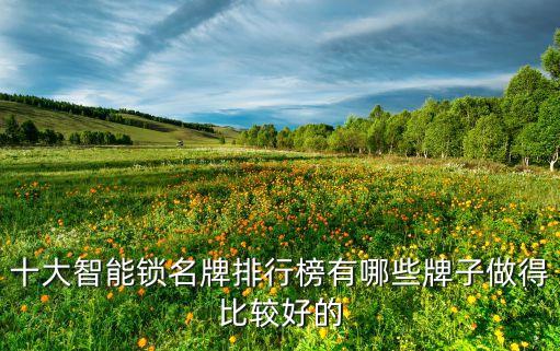 十大智能鎖名牌排行榜有哪些牌子做得比較好的