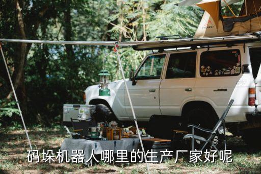 碼垛機(jī)器人品牌排行，碼垛機(jī)器人哪里的生產(chǎn)廠家好呢