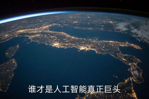 誰才是人工智能真正巨頭