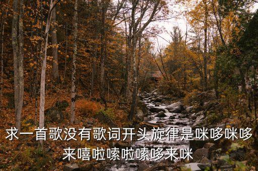 求一首歌沒(méi)有歌詞開頭旋律是咪哆咪哆來(lái)嘻啦嗦啦嗦哆來(lái)咪