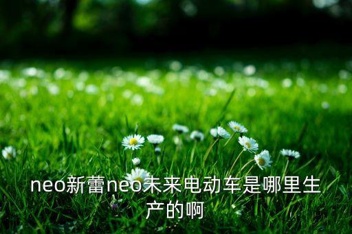 neo新蕾neo未來電動車是哪里生產(chǎn)的啊
