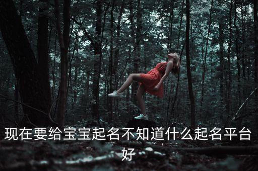 現(xiàn)在要給寶寶起名不知道什么起名平臺(tái)好