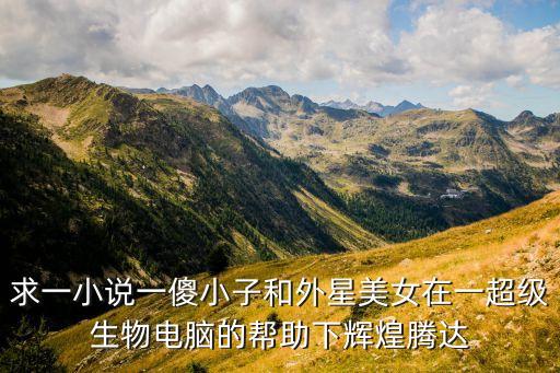求一小說一傻小子和外星美女在一超級(jí)生物電腦的幫助下輝煌騰達(dá)