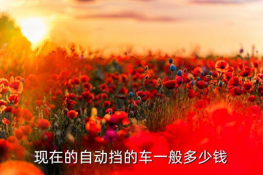 自動駕駛的車子多少錢，現(xiàn)在的自動擋的車一般多少錢
