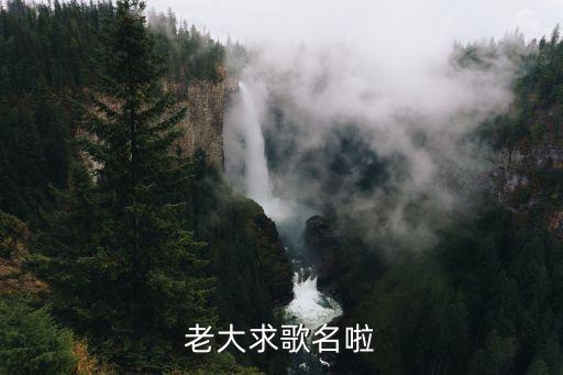 老大求歌名啦