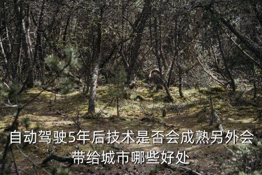 自動駕駛5年后技術(shù)是否會成熟另外會帶給城市哪些好處
