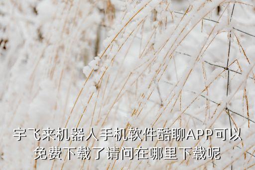 宇飛來(lái)機(jī)器人手機(jī)軟件酷聊APP可以免費(fèi)下載了請(qǐng)問(wèn)在哪里下載呢