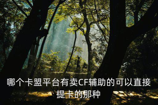 哪個卡盟平臺有賣CF輔助的可以直接提卡的那種