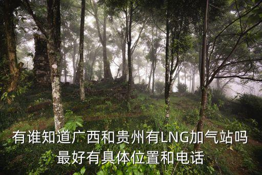 有誰知道廣西和貴州有LNG加氣站嗎最好有具體位置和電話