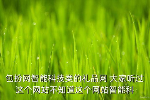 智能科技產(chǎn)品批發(fā)網(wǎng)官網(wǎng)查詢，有什么批發(fā)電子產(chǎn)品的網(wǎng)站