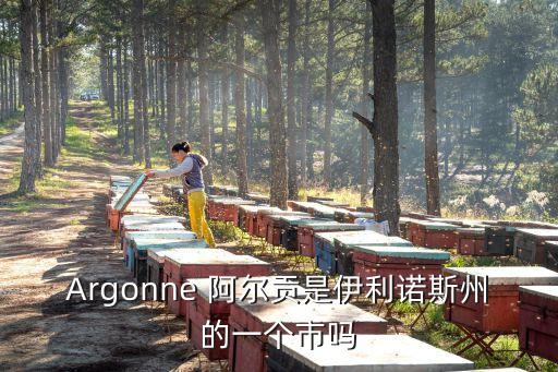 Argonne 阿爾貢是伊利諾斯州的一個市嗎