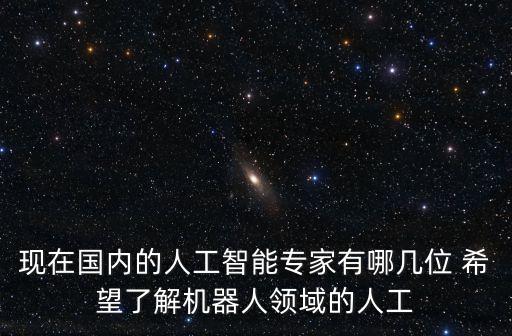 現(xiàn)在國內(nèi)的人工智能專家有哪幾位 希望了解機器人領(lǐng)域的人工
