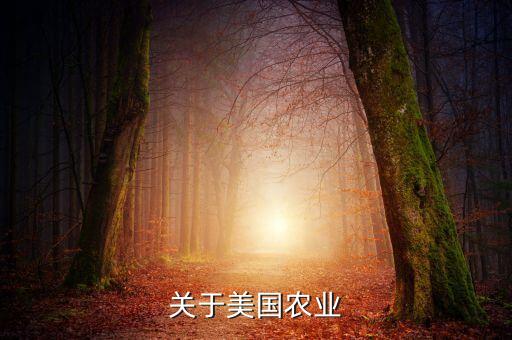 關(guān)于美國農(nóng)業(yè)