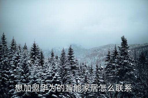 華為華云智能家居加盟，華云國際商城是不是詐騙加盟可信度高