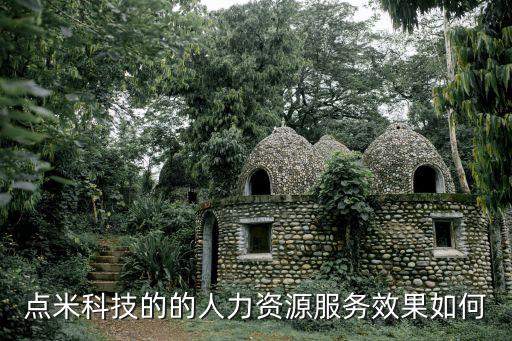 點米人力資源公司怎么樣，點米社保通服務(wù)怎么樣