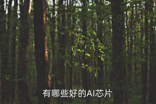 ai人工智能芯片有哪些，AI加持的CPU有哪些
