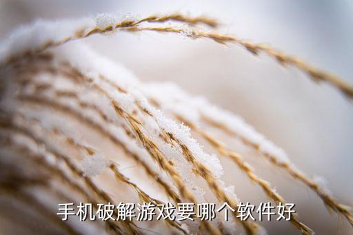 手機(jī)破解游戲要哪個(gè)軟件好