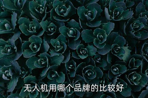 兒童無人機(jī)什么牌子性價比最好，無人機(jī)用哪個品牌的比較好