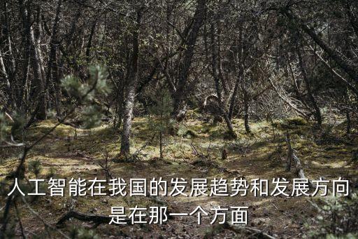人工智能在我國的發(fā)展趨勢(shì)和發(fā)展方向是在那一個(gè)方面