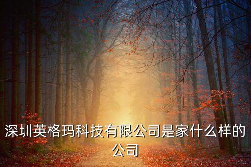 深圳英格瑪科技有限公司是家什么樣的公司