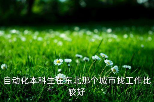 中國自動化集團(tuán)官網(wǎng)招聘，自動化本科生在東北那個城市找工作比較好