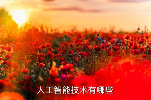 人工智能技術(shù)有哪些