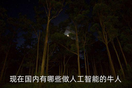 現(xiàn)在國內(nèi)有哪些做人工智能的牛人