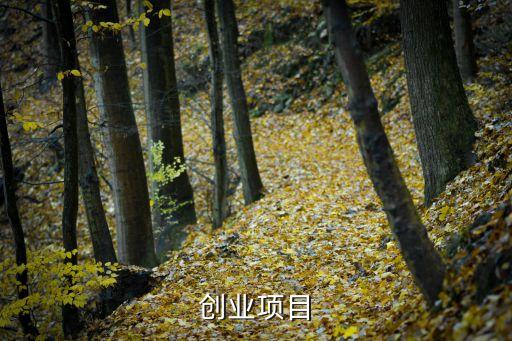 一百個創(chuàng)業(yè)項目，有哪些好的創(chuàng)業(yè)小項目