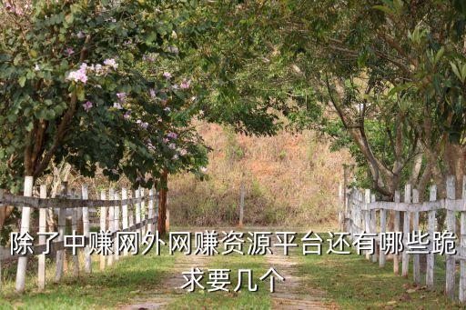 可以賺錢的網(wǎng)站平臺，除了中賺網(wǎng)外網(wǎng)賺資源平臺還有哪些跪求要幾個