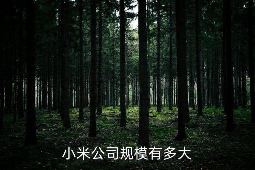 小米公司的副總裁是誰(shuí)，小米公司的創(chuàng)始人黎萬(wàn)強(qiáng)個(gè)雷軍到底哪個(gè)是總裁
