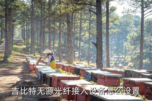 吉比特?zé)o源光纖接入用戶端設(shè)備，吉比特?zé)o源光纖接入設(shè)備怎么設(shè)置