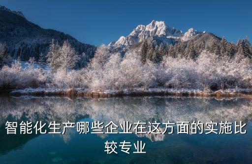 智能化生產(chǎn)哪些企業(yè)在這方面的實施比較專業(yè)