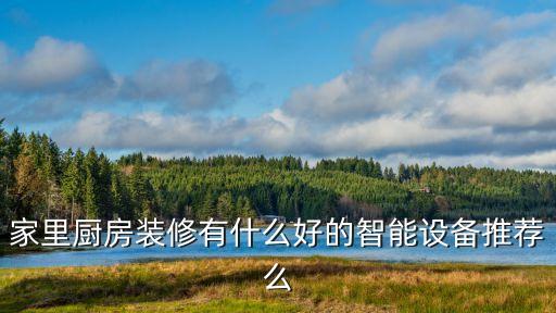 家里廚房裝修有什么好的智能設(shè)備推薦么