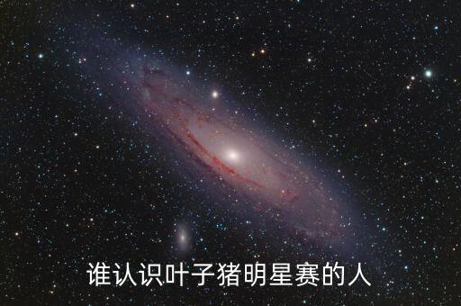 誰認(rèn)識葉子豬明星賽的人