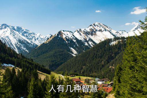 人有幾種智慧