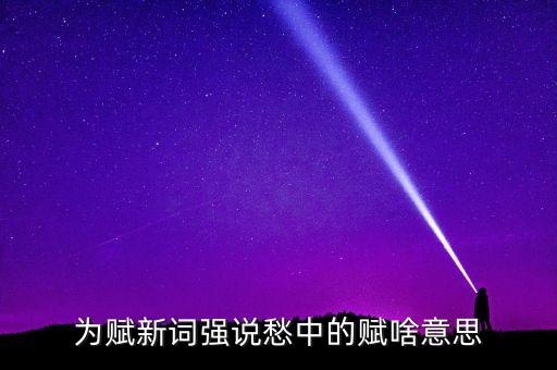 賦新是什么意思，為賦新詞強說愁的賦字是什么意思