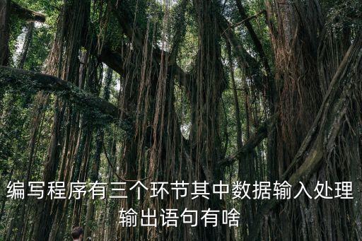 編寫(xiě)人工智能程序三個(gè)環(huán)節(jié)，編寫(xiě)程序有三個(gè)環(huán)節(jié)其中數(shù)據(jù)輸入處理輸出語(yǔ)句有啥