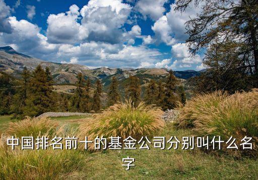 中藥基金排行前十名基金，2016十大基金排名 最新基金排名前十有哪些