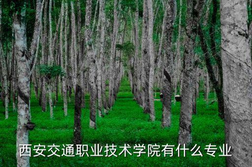 西安交通職業(yè)技術(shù)學(xué)院有什么專業(yè)